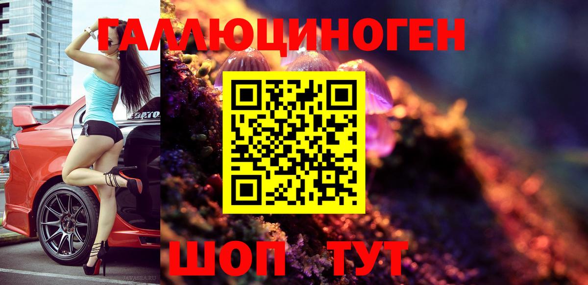 как найти закладки  Галлюциногенные грибы Psilocybine cubensis  Великие Луки  Вход с VPN  Псилоцибиновые грибы прущие грибы 