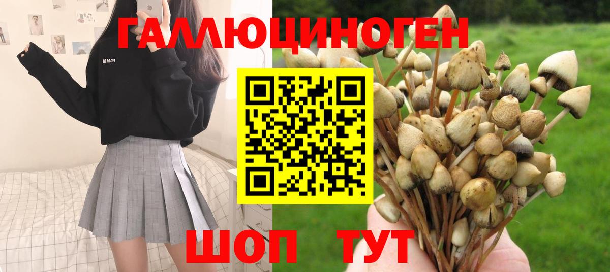 Галлюциногенные грибы мицелий Великие Луки
